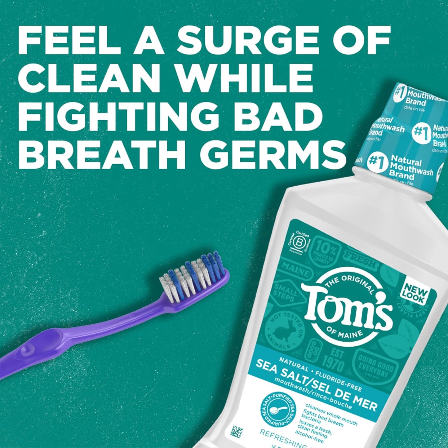 Tom's of Maine Natural Mouthwash - Refreshing Mint Flavor, Alcohol-Free, 16 Fl Oz (Pack of 3)