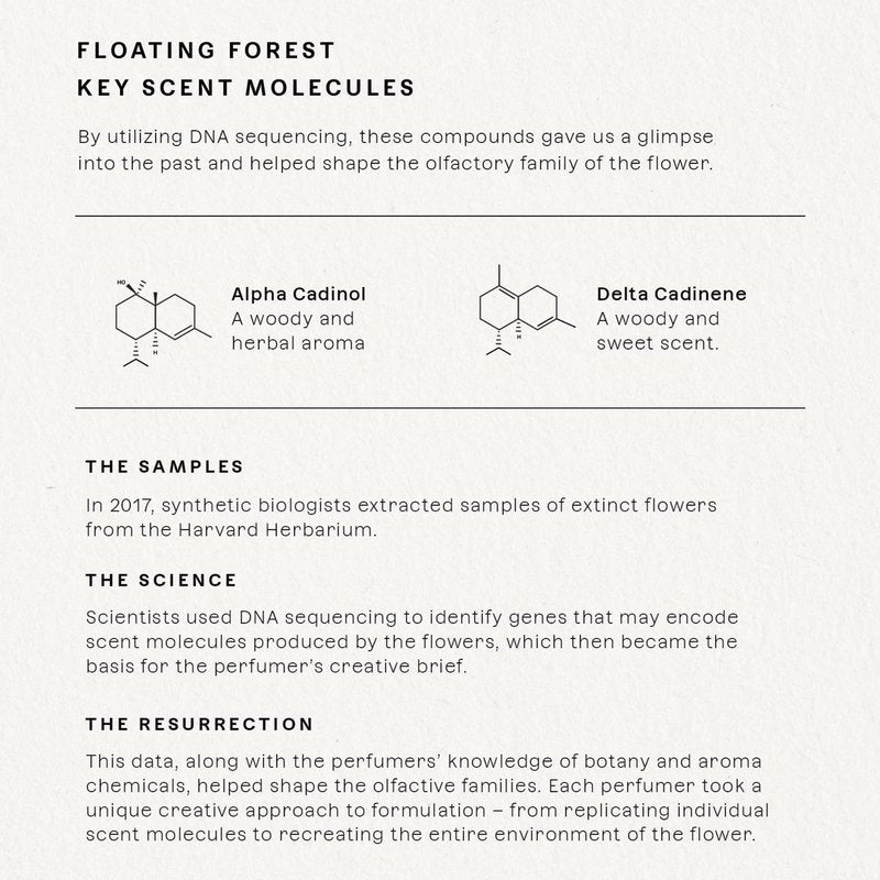 Future Society Floating Forest Perfume - Rich Aquatic Floral Eau de Parfum with Notes of Bergamot, Freesia, Rose & Musk - Luxury Perfume Inspired by Rainforests - Modern Unisex Fragrance - 50ml