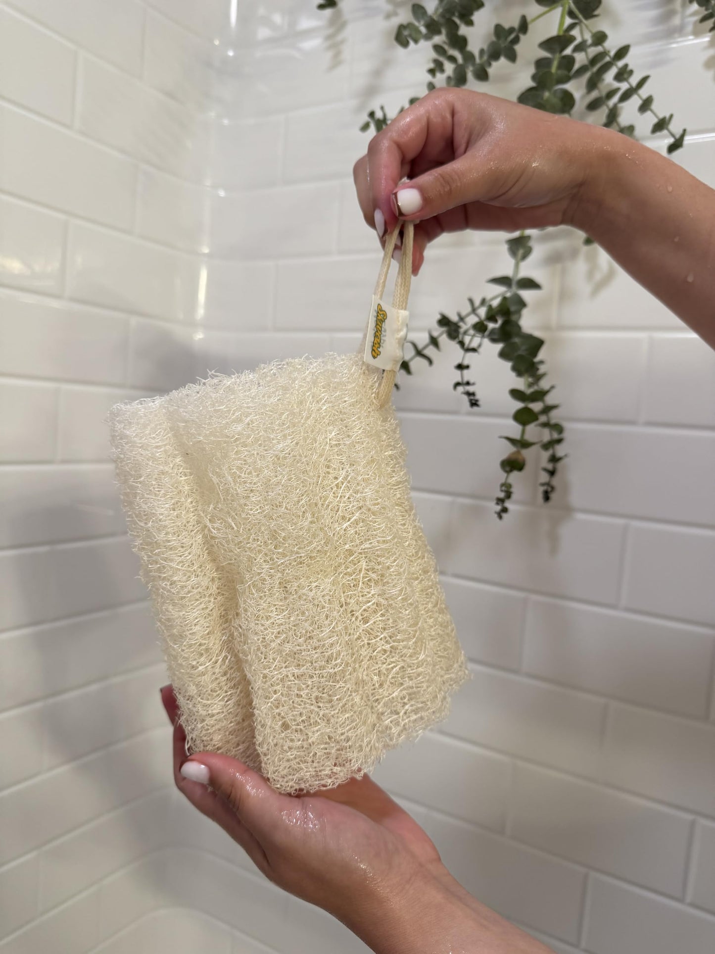 Skwash, Raw Loofah