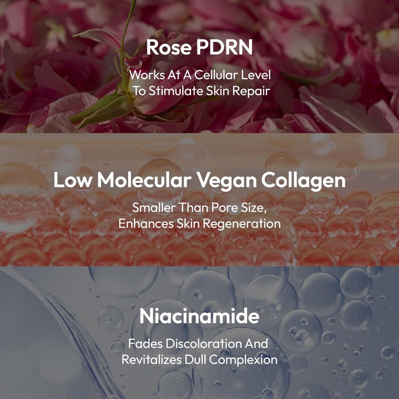 LAPCOS K Beauty Deep Collagen Glass Skin Overnight Mask - Korean Skin Care Mask with Rose PDRN, Vegan Collagen & Hydrogel Sheet - Hypoallergenic Firming Collagen Face Mask Sheets (4 ea, 1.23 oz)