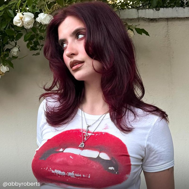 Arctic Fox Hair Color Dye - Vegan, Ammonia-Free Conditioning | Rich Burgundy Red, 8 Fl Oz (Pack of 2)