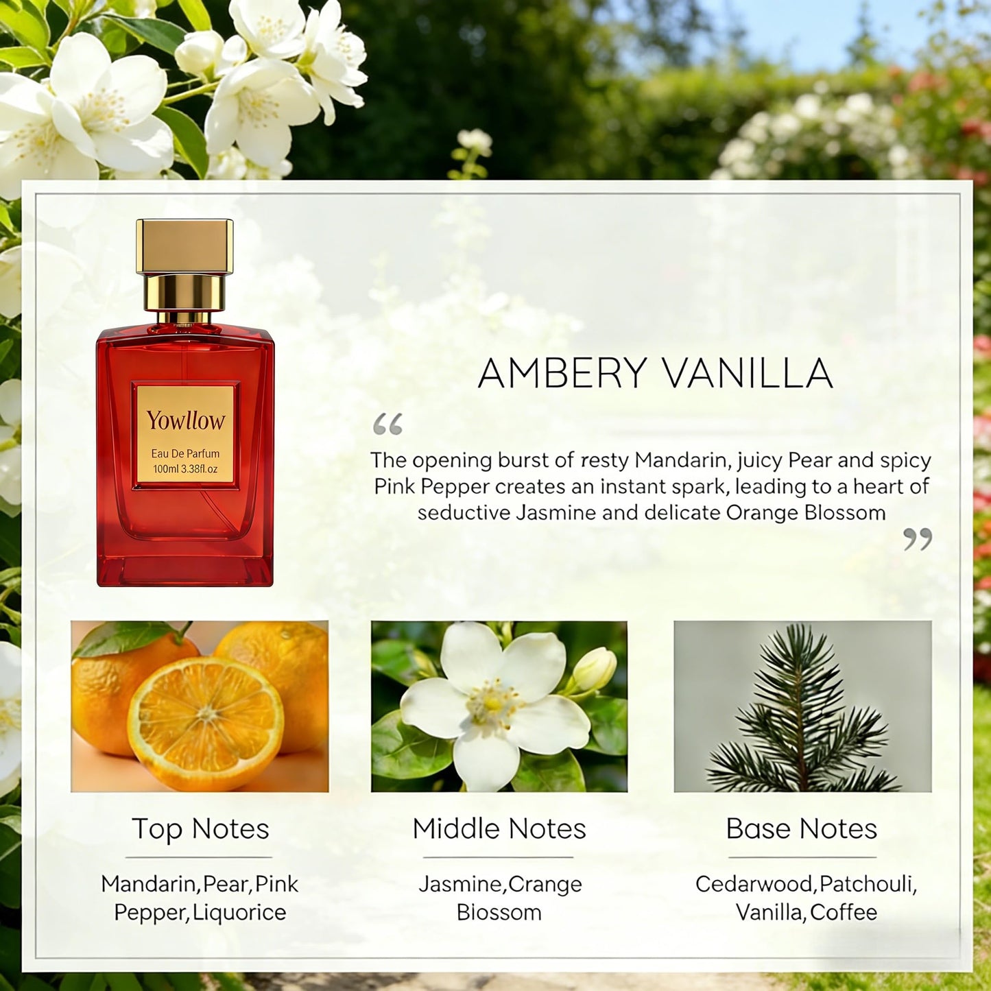 Yowllow- Ambery Vanilla - Eau de Parfum- Inspired by Y.SL's Bl.ack Op.ium- 1.7 FL/OZ (50ML)-Women Long-Lasting & Pure Perfume Fragrance Spary