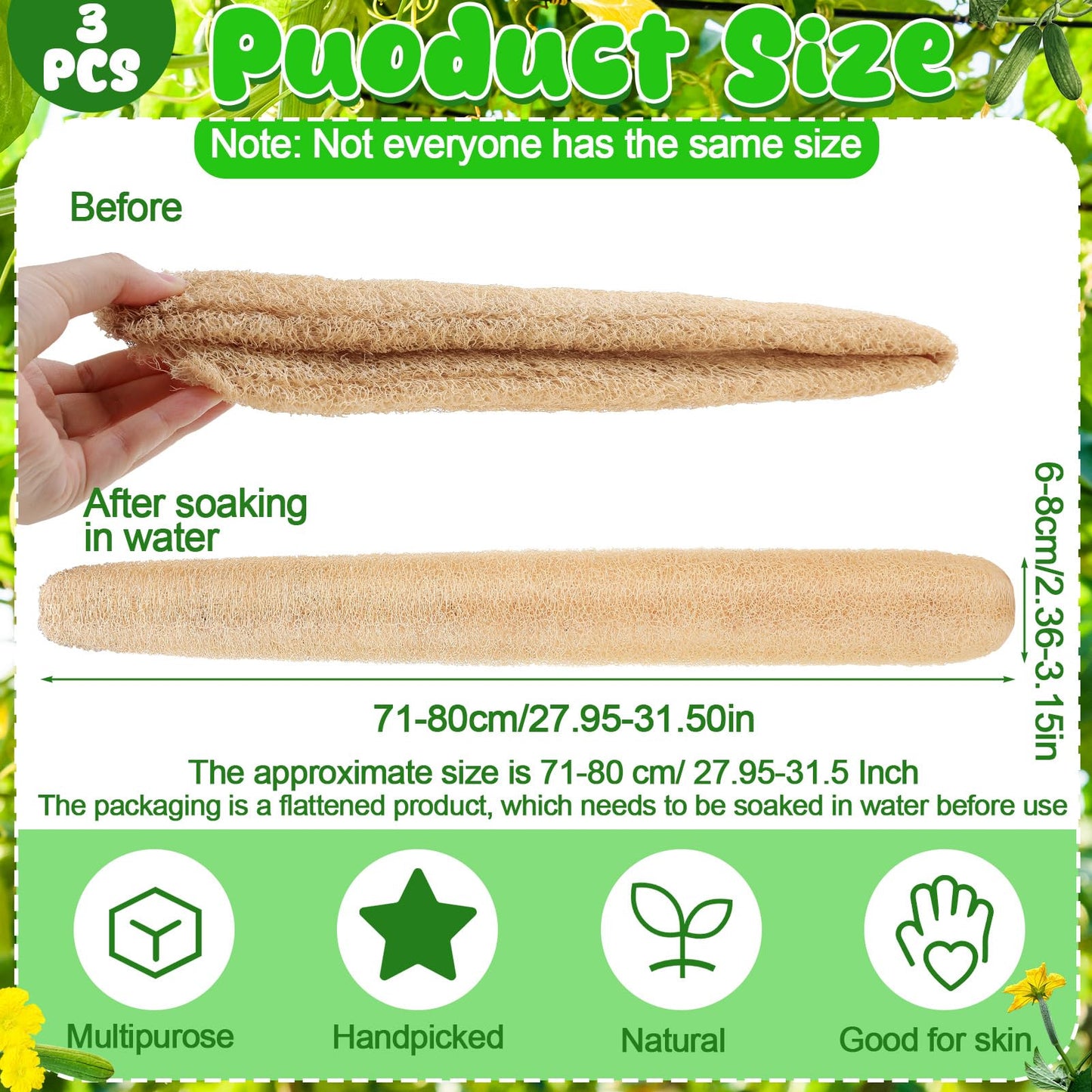 ZhouBoat 3 PCS 27.6-31.5 inch Large Natural Loofah Sponge Organic Exfoliating Scrubber for Shower Bath Body Dish Cleaning for Men Women
