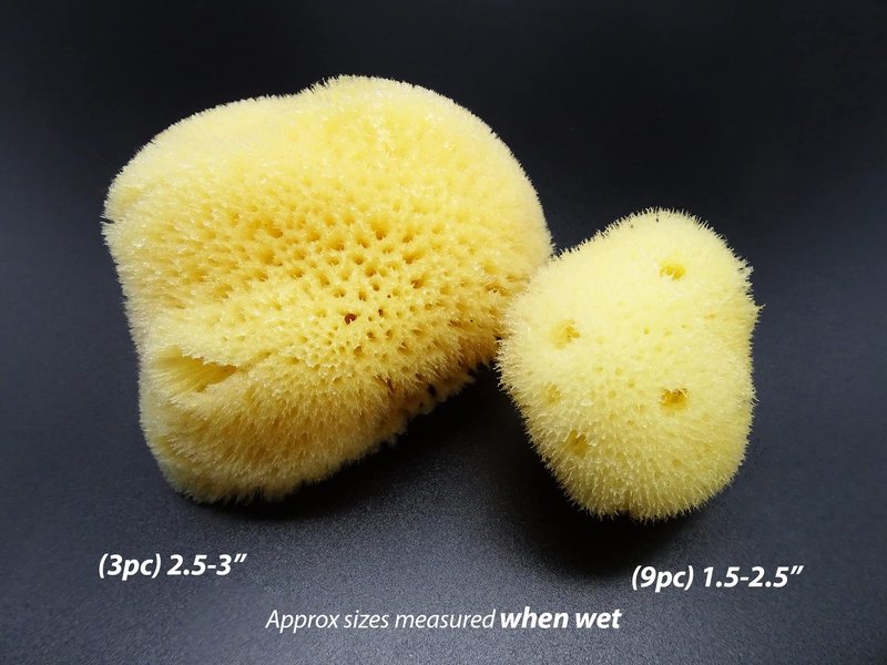 Constantia Beauty® Natural Sea Silk Sponges 12pack, use like Cotton Balls, Cosmetic Grade, Makeup Application Blending & Removal, Face & Eye Cleaning, Size 9pc x1.5"-2.5" 3pc x 2.5"-3" Reuseable Bag