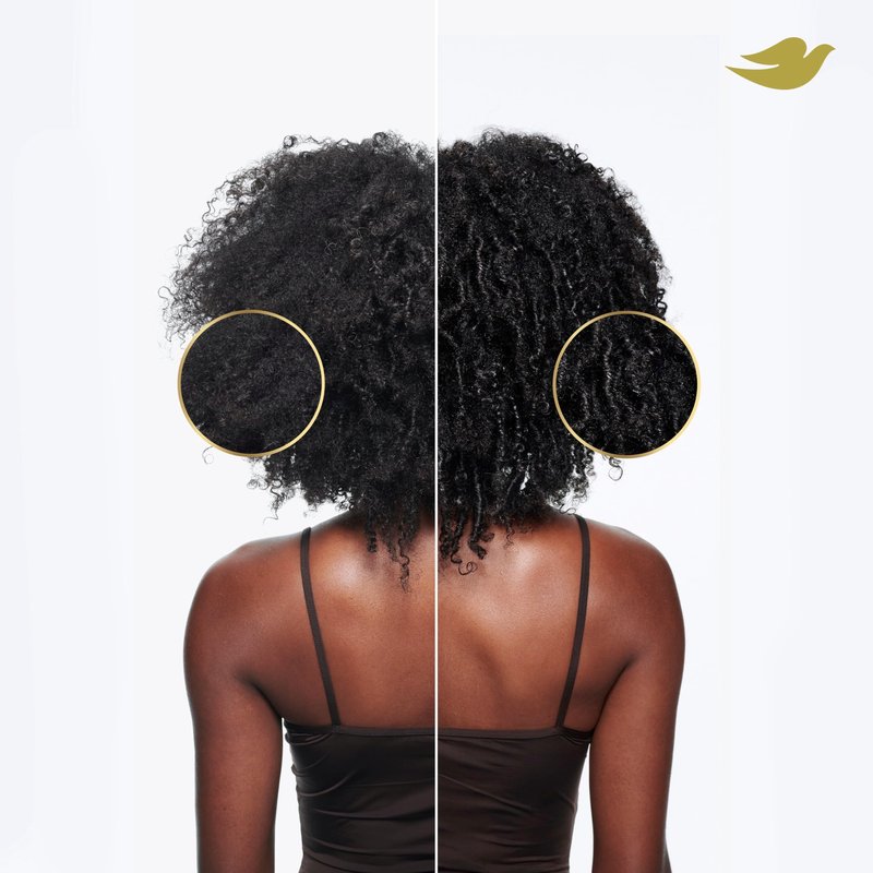 Dove Shampoo, Conditioner, & Mask Amino Curl Regimen Pack 4 Pk for Curly, Coily Hair with Bio-Protein Care Technology + Amino & Jojoba Oil
