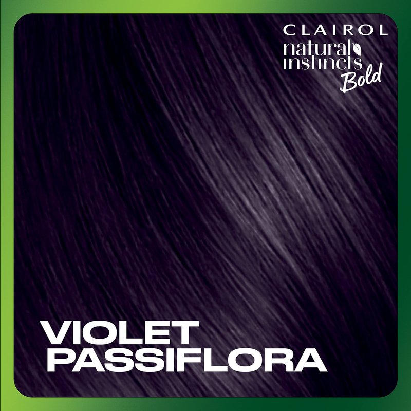 Clairol Natural Instincts Bold Permanent Hair Dye, V26 Violet Passiflora Hair Color, Pack of 1