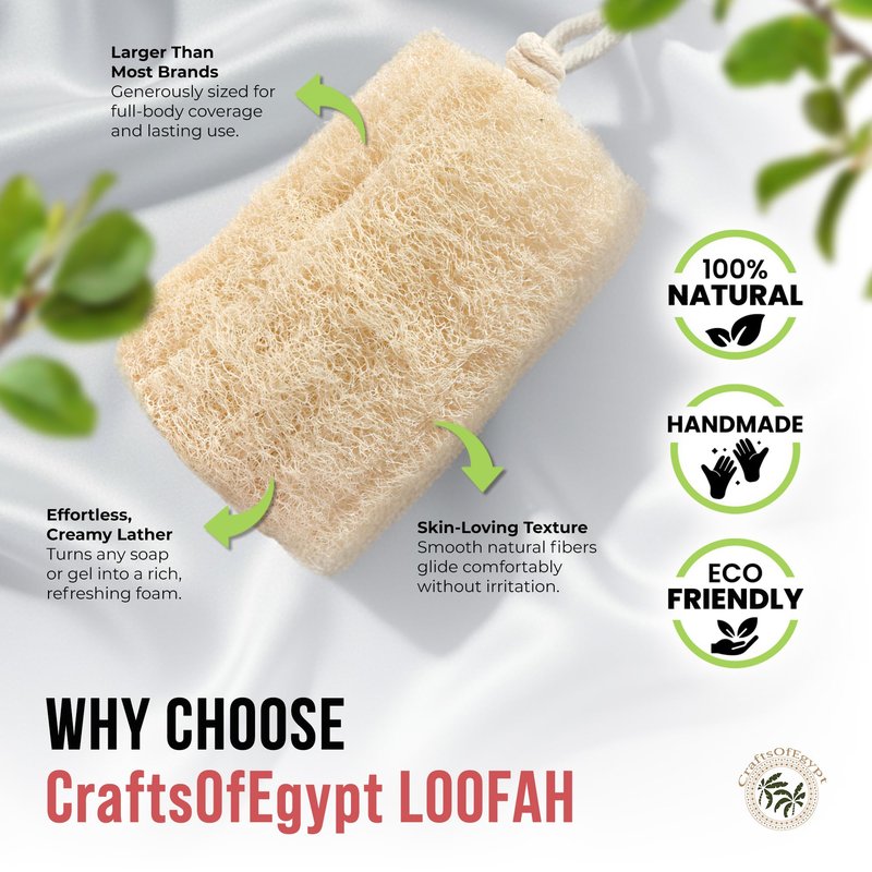CraftsOfEgypt Natural Loofah Sponge – Egyptian Luffa Body Scrubber Pack of 2 for Men & Women, Natural Bath & Shower Loofah Exfoliator, All Natural Loofah Sponges for Face Back & Body, 6" x 6"