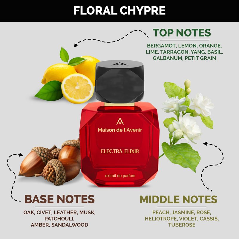 Maison de l'Avenir Electra Elixir | Classic Floral Chypre | Unisex Cologne & Perfume | Natural & Essential Oils | Eau de Parfum (24 Hours) | Made in UAE | 100ml / 3.4 fl. oz. | Perfume Gift