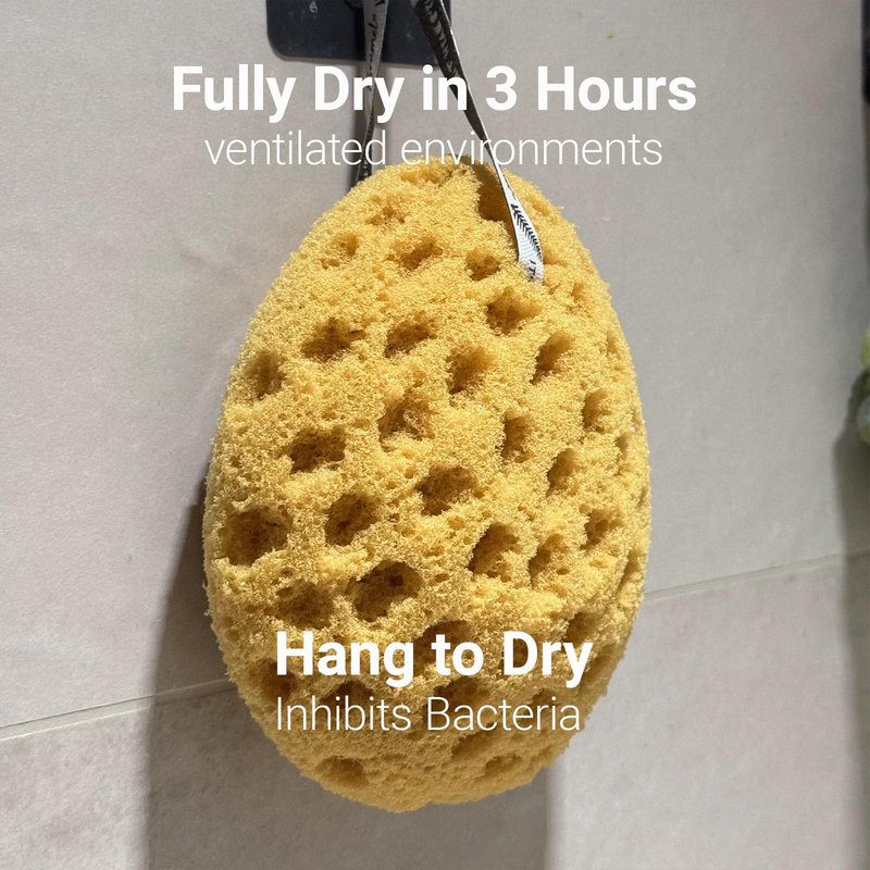 Fumgranth 3 Pack Loofah Sponge for Shower, Soft Shower Sponge for Body Cleansing, Sea Sponge Texture for Rich Lather and Gentle Exfoliation, Quick Dry Body Sponge for Men and Women