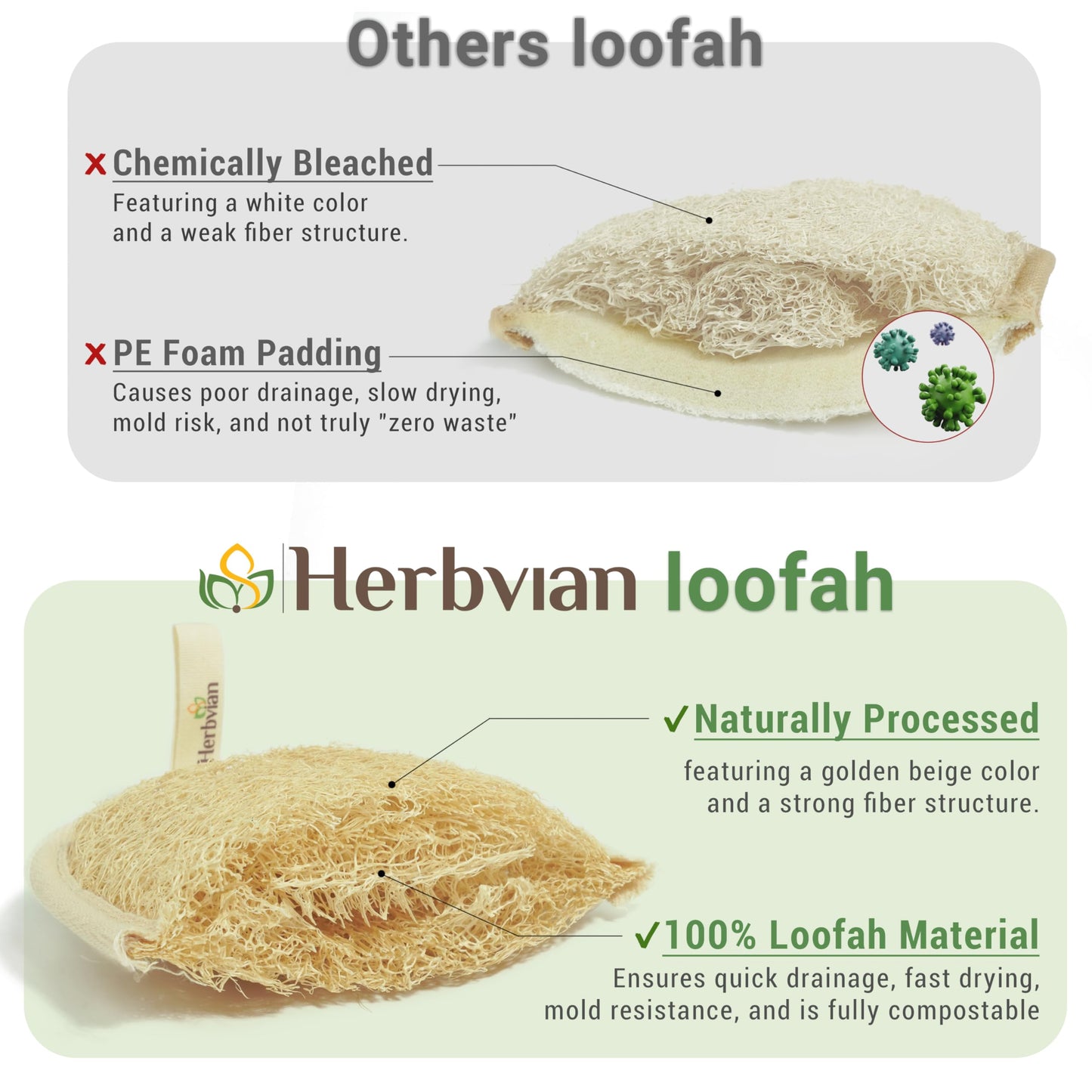 Herbvian Vietnamese Natural Loofah Exfoliating Body Scrubber Pads, 100% Plant-Based Shower Luffa Sponge, Bath Loofah for Women Men (3, Oval 6.5"x4.9")
