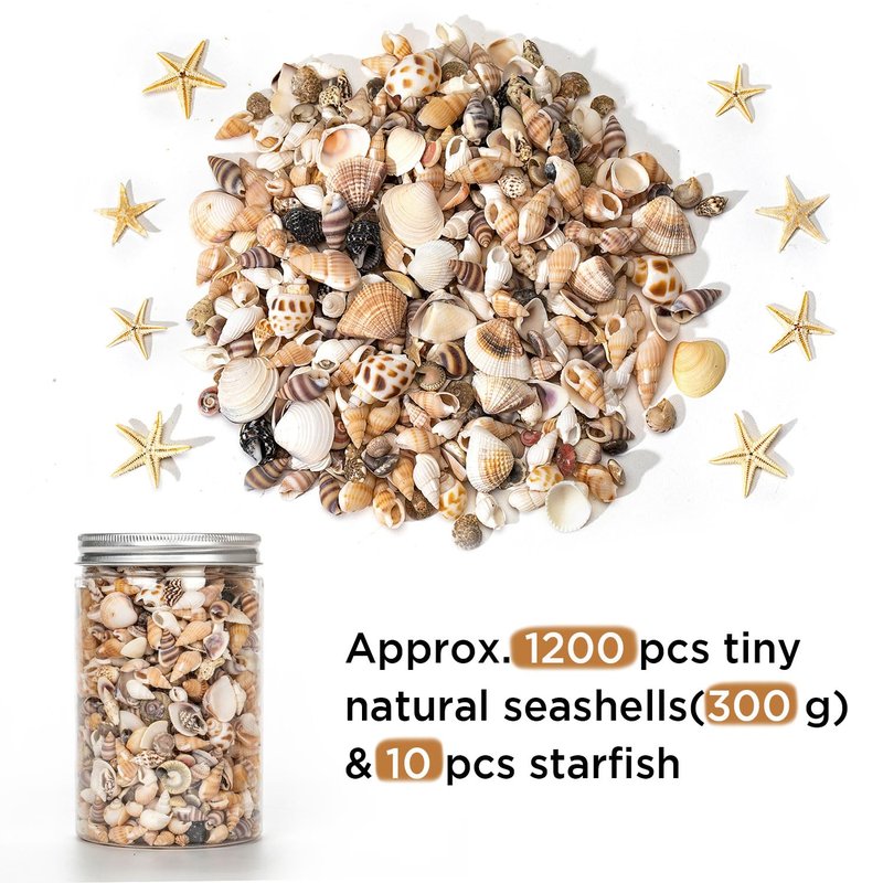 1200 PCS Natural Seashells, Joyfulmap Tiny sea Shells & Small Starfish for Decorations, Mixed Ocean Beach Spiral Shells for Crafting, Fish Tank, Beach Theme Party, Wedding Decor, DIY Craft Supplies