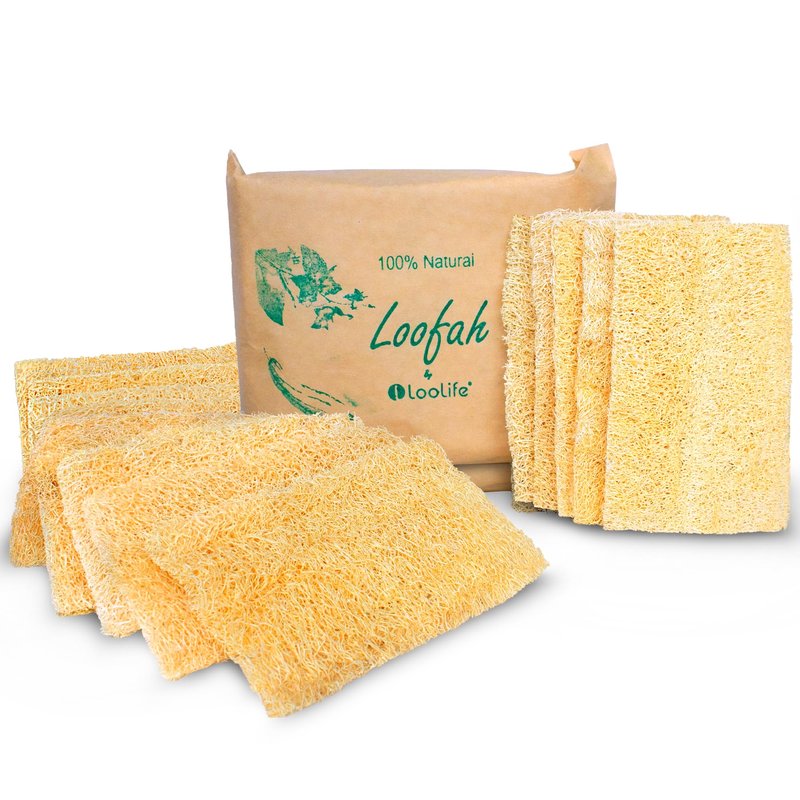 Natural Loofah Kitchen Sponge (XL - 10 Pack) - Natural Sponges for Dishes - Eco Friendly and Compostable Sponges - Biodegradable Plant Based Kitchen Dish Sponge - Plastic Free Dish Scrubber