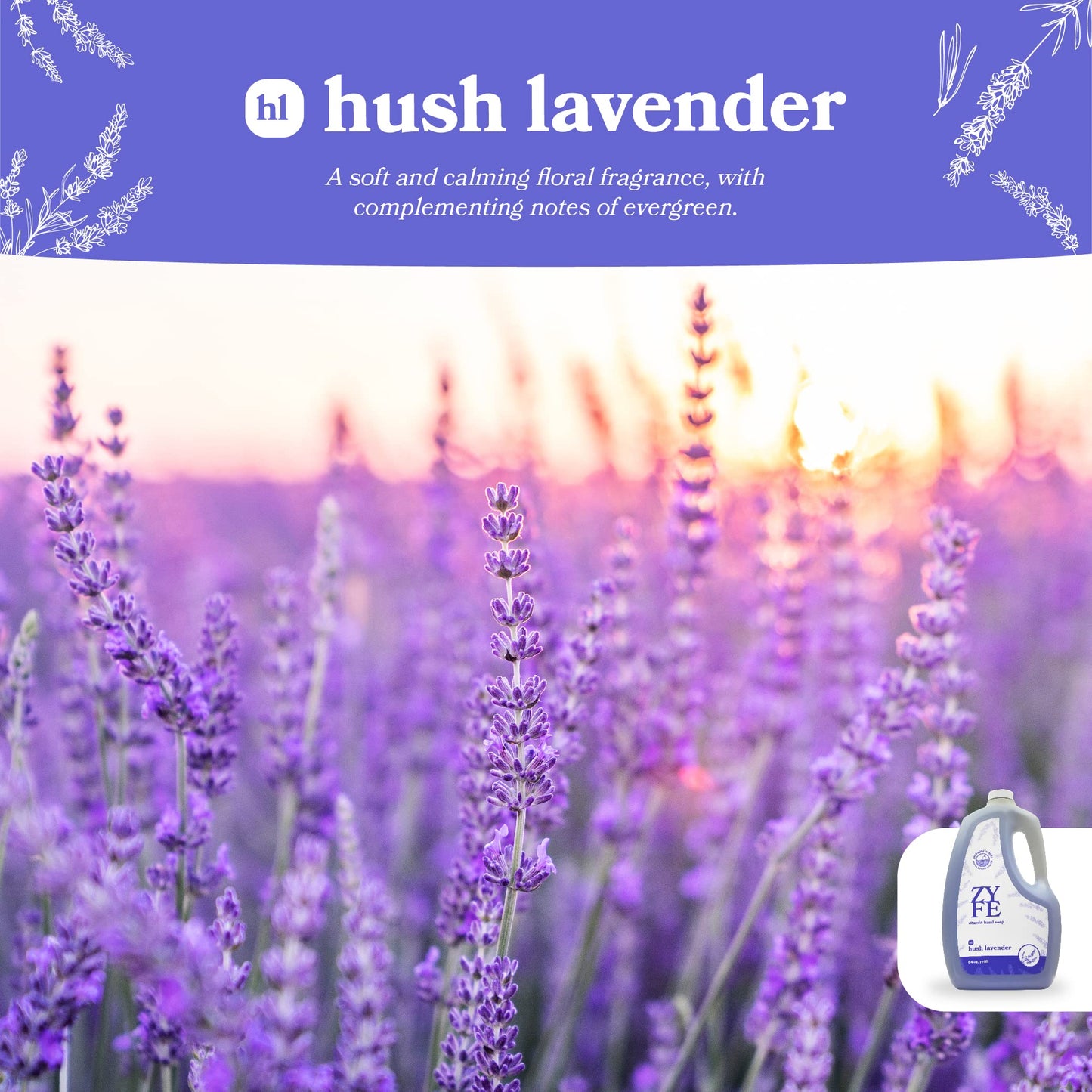 ZYFE Liquid Hand Soap Refills - Non-Toxic, Plant-Derived Vitamin Infused with Essential Oils - Kitchen Hand Soap Refill & Bathroom Essentials Handsoap Hand Wash - Hush Lavender Scent, 64oz