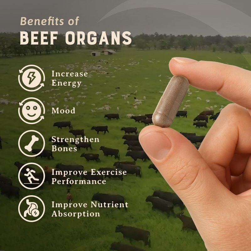 HEART & SOIL – 100% Grass Fed & Finished Beef Organs from Regenerative Cattle with Liver, Heart, Kidney, Pancreas & Spleen – 3000mg Beef Organ Supplement for Women & Men – Glass Bottle – 180 Capsules