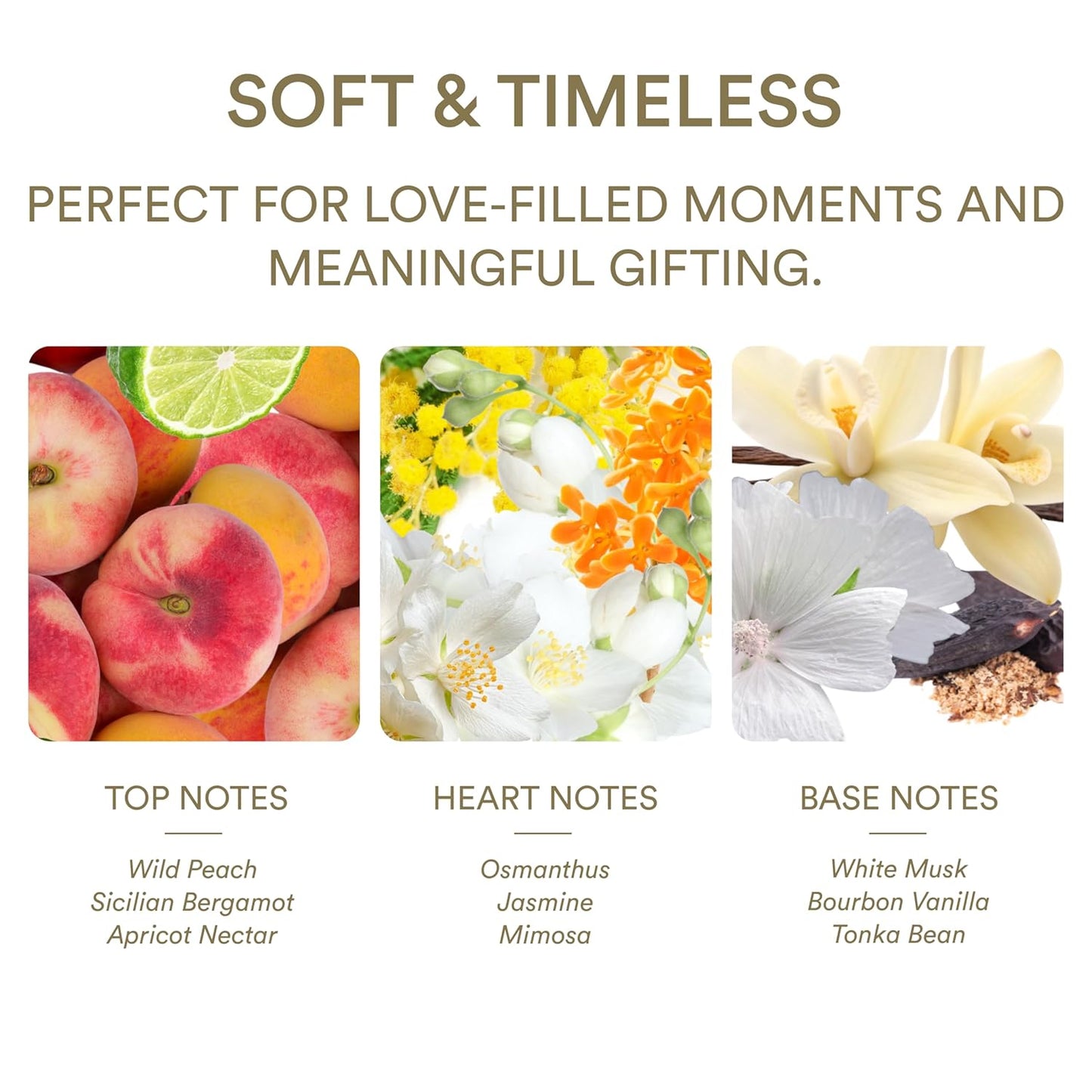 Wedding Love Perfume for Women - Romantic Fruity Floral Eau de Parfum with Peach, Apricot, Jasmine, Vanilla - Long Lasting Bridal & Everyday Fragrance, Vegan Clean Wedding Gift - 75ml (2.5 oz)