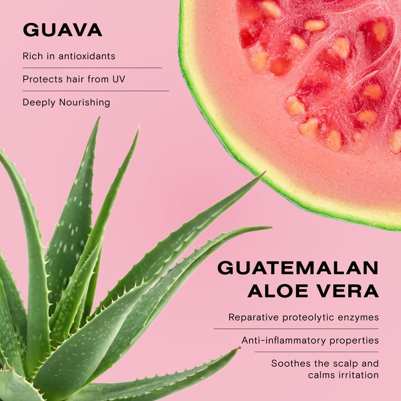 Ceremonia Guava Color Protect & Damage Repair Shampoo | Restores Hair & Boosts Shine with Aloe Vera | Protects Hair from UV and Heat, 8.45 fl oz