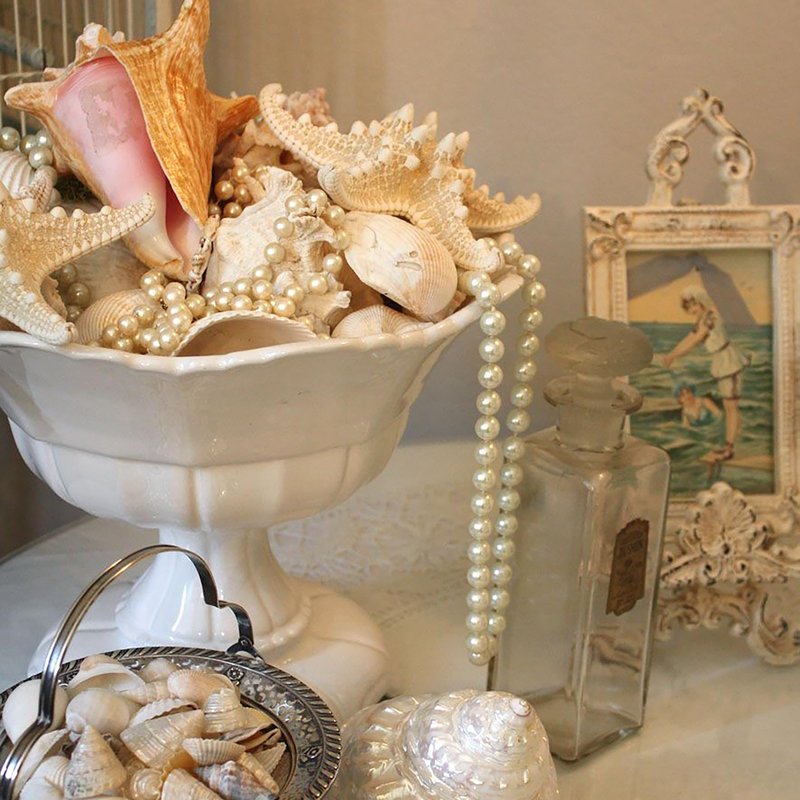 JQAQJU 16PCS Starfish and Scallop Shells for Crafts 3"-4" with Pearls, Natural Sea Shells for Crafting Beach Party Christmas Decor DIY