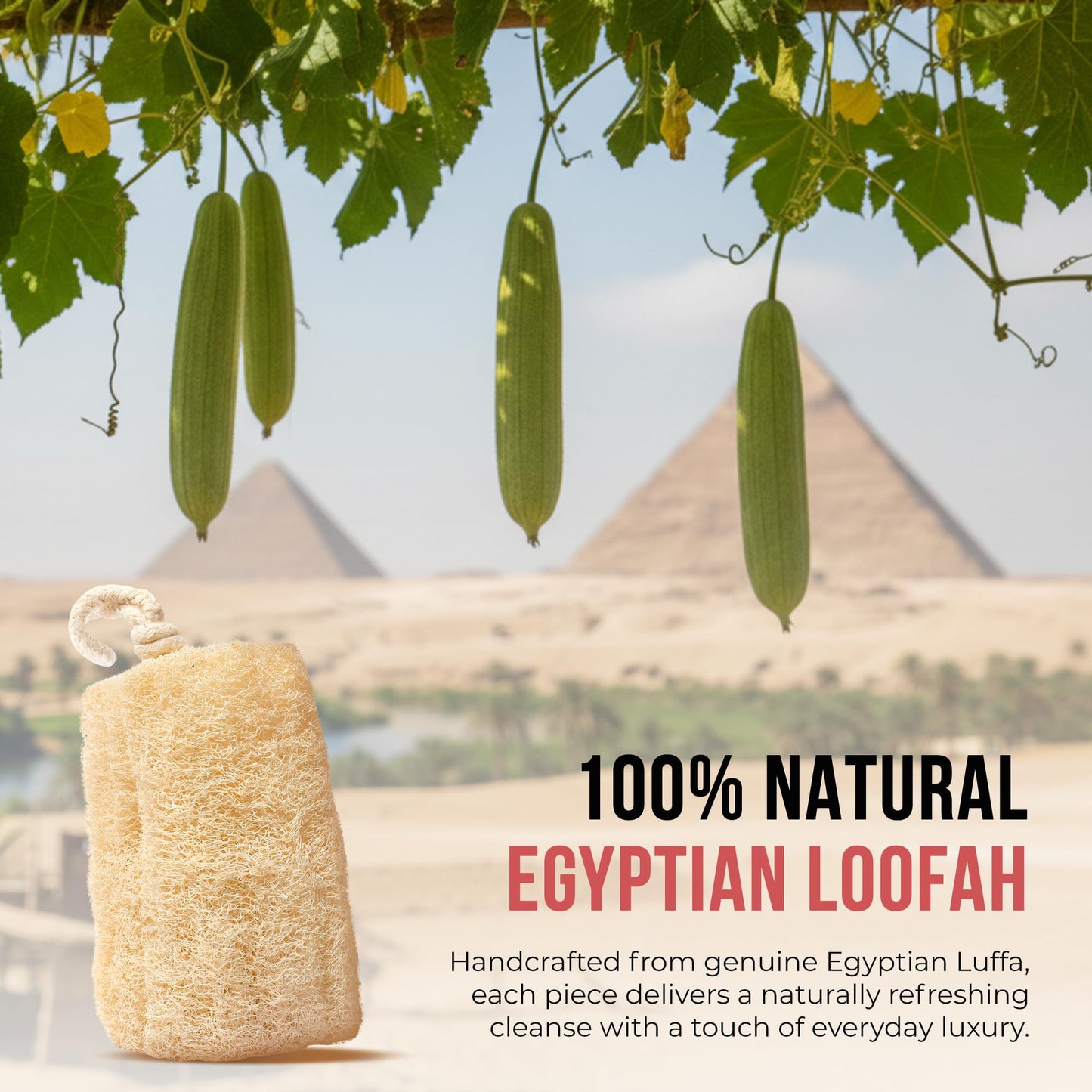 SERRENTO Loofah Body Scrubber - Natural Egyptian Loofah Sponge for Exfoliating Shower Bath, Organic Luffa Loofa Scrubbing Sponge for Men Women, Plastic Free Bathing Pads, Pack of 3 Tan