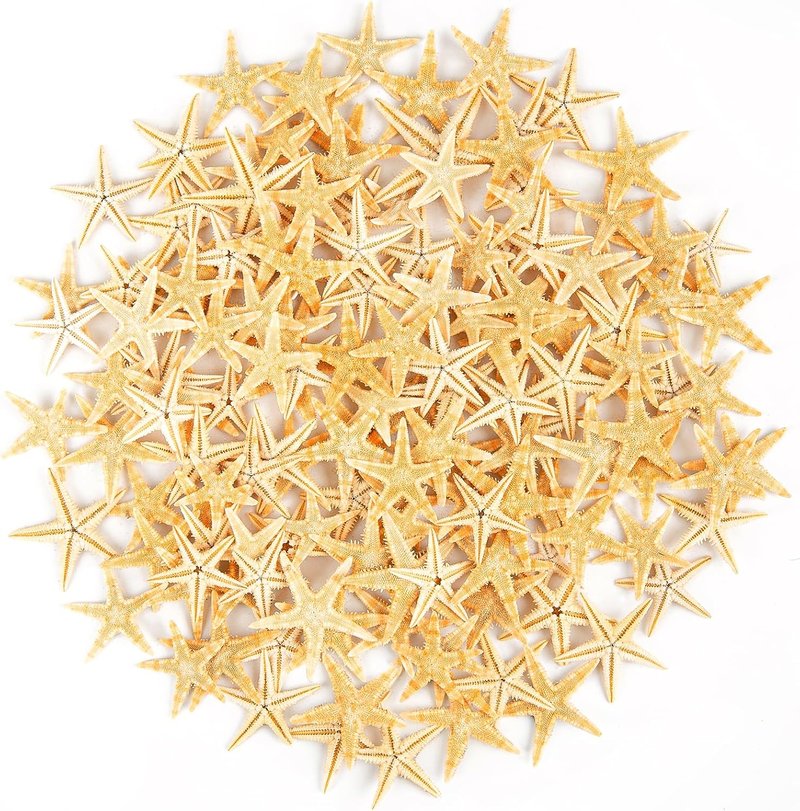 Natural Small Starfish for Crafts - 100 PCS Mini Starfish Decor | 0.4" to 1" for Beach Weddings & DIY Projects