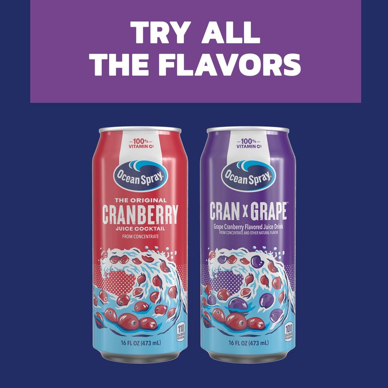 Ocean Spray® Cran-Grape™ Cranberry Grape Juice Drink, 16oz can (12 Pack)