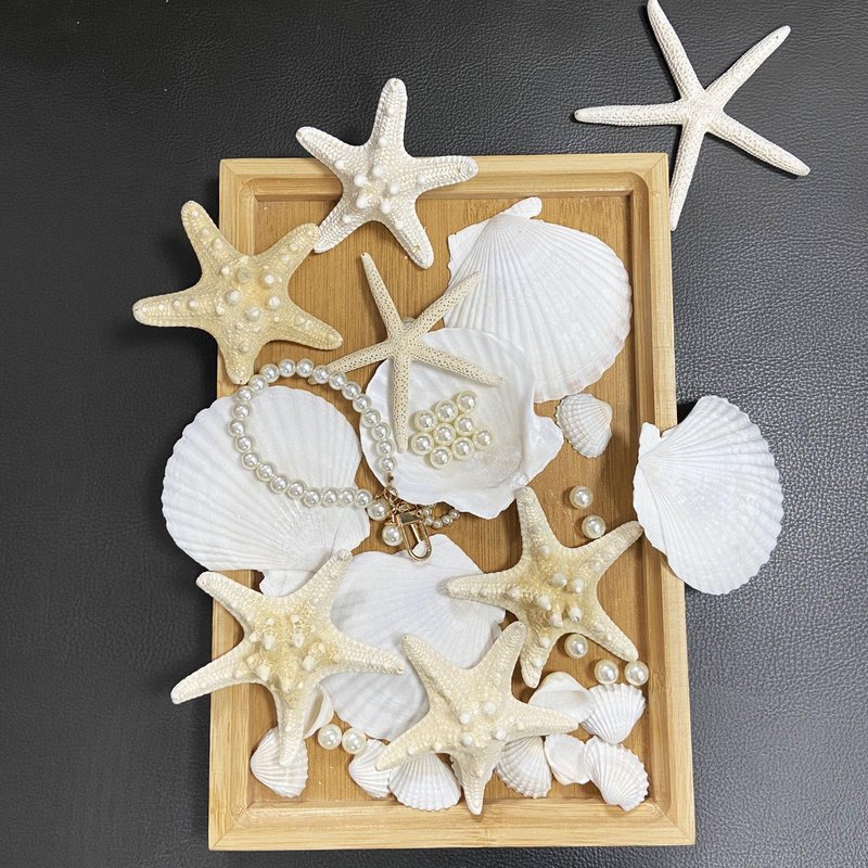JQAQJU 16PCS Starfish and Scallop Shells for Crafts 3"-4" with Pearls, Natural Sea Shells for Crafting Beach Party Christmas Decor DIY