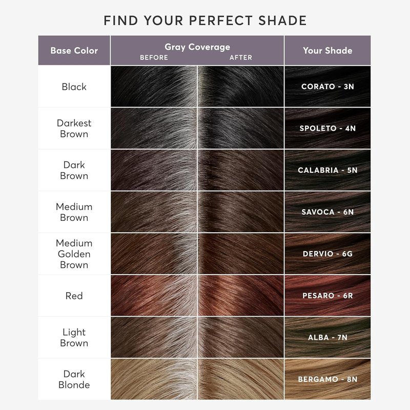 Madison Reed Root Touch Up Kit - 6N Savoca Medium Brown | 100% Gray Coverage, Ammonia-Free, 2 Applications