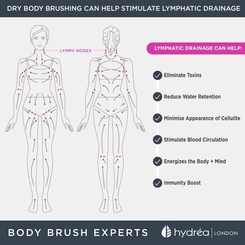Hydréa London Round Natural Body Brush with Mane/Cactus Bristle for Dry Brushing to Exfoliate, Remove Dead Skin, Cellulite and Aid Lymphatic Drainage.
