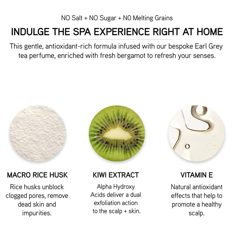 ILES FORMULA Scalp + Body Exfoliant – Luxury Scalp Scrub & Exfoliating Body Scrub – Gentle, Rejuvenating Exfoliating Scrub to Remove Buildup & Smooth Skin with Vitamin E & Kiwi Extract - Residue Free