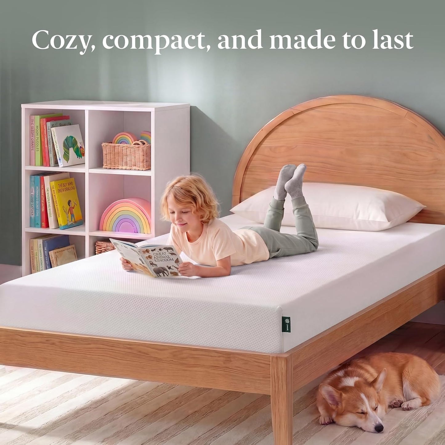 Zinus Green Tea Memory Foam Mattress - 5 Inch Twin Size | Pressure-Relieving Comfort & Medium Firm Feel