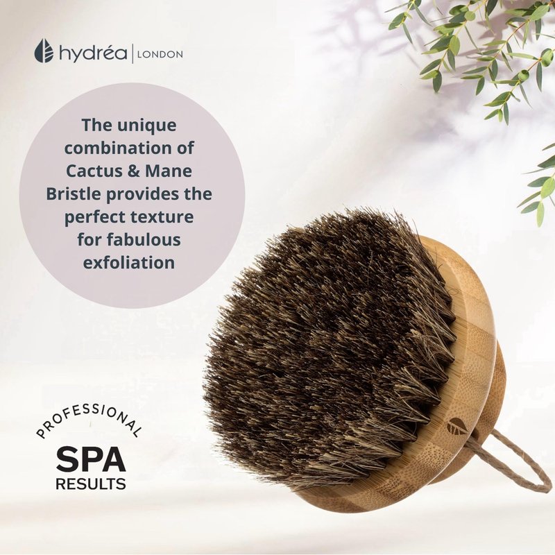 Hydréa London Round Natural Body Brush with Mane/Cactus Bristle for Dry Brushing to Exfoliate, Remove Dead Skin, Cellulite and Aid Lymphatic Drainage.