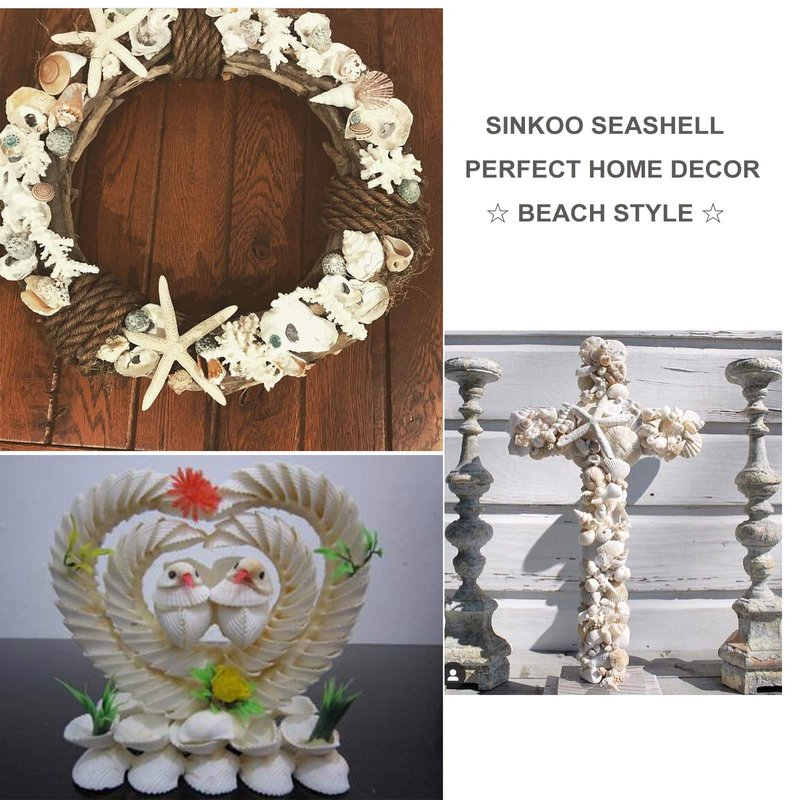 SINKOO Bulk Natural White Small Seashell Clam Super Shells Assortment for DIY Craft Beach Decor