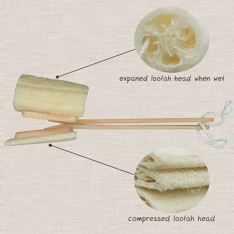 Natural Exfoliating Loofah Luffa Loofa Back Sponge Scrubber Brush with Long Wooden Handle Stick Holder Body Shower Bath Spa Pack of 1