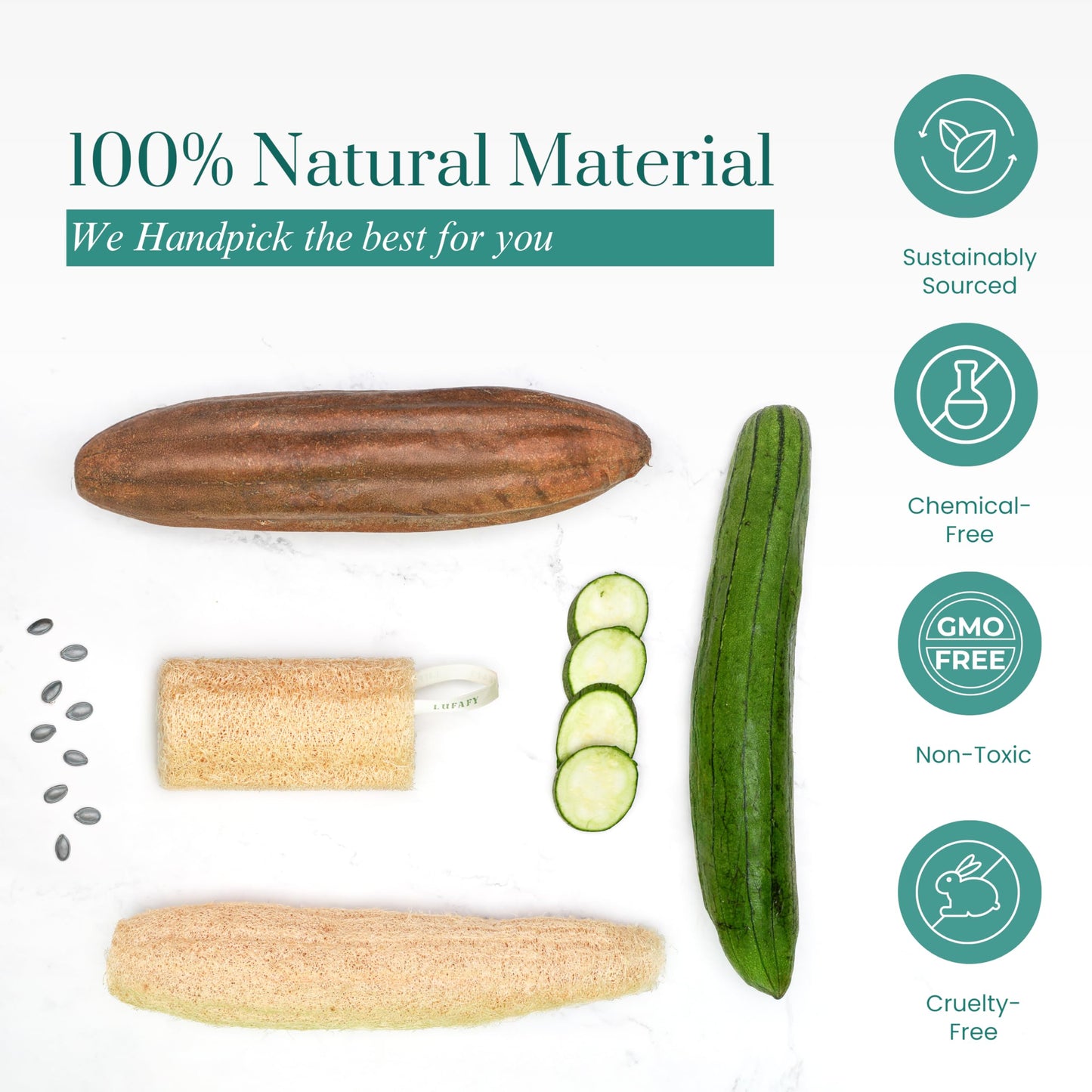 LUFAFY Natural Loofah Sponge 12‑Pack (6"), Exfoliating Body Scrubber for Shower, Bath & Kitchen – Plant-Based