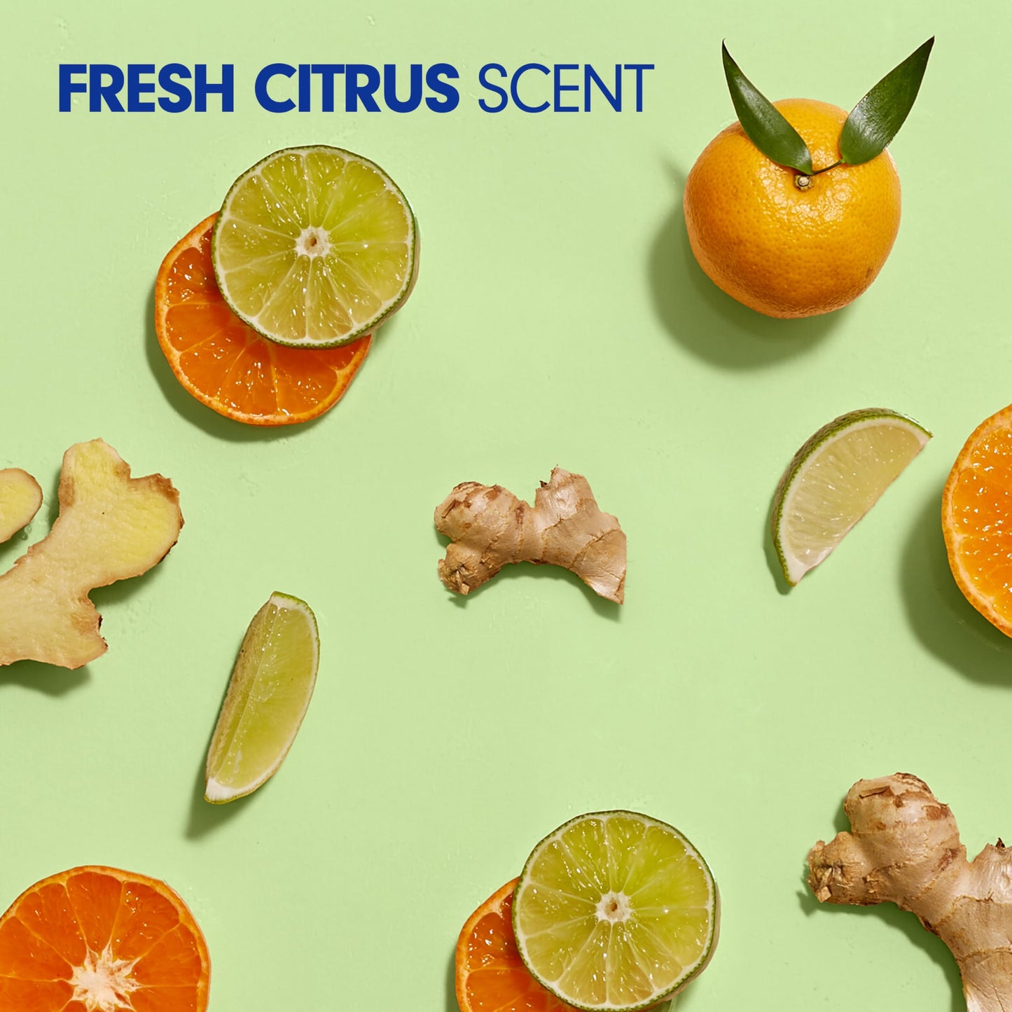 Softsoap ANTIBACTERIAL FRESH CITRUS 50OZ