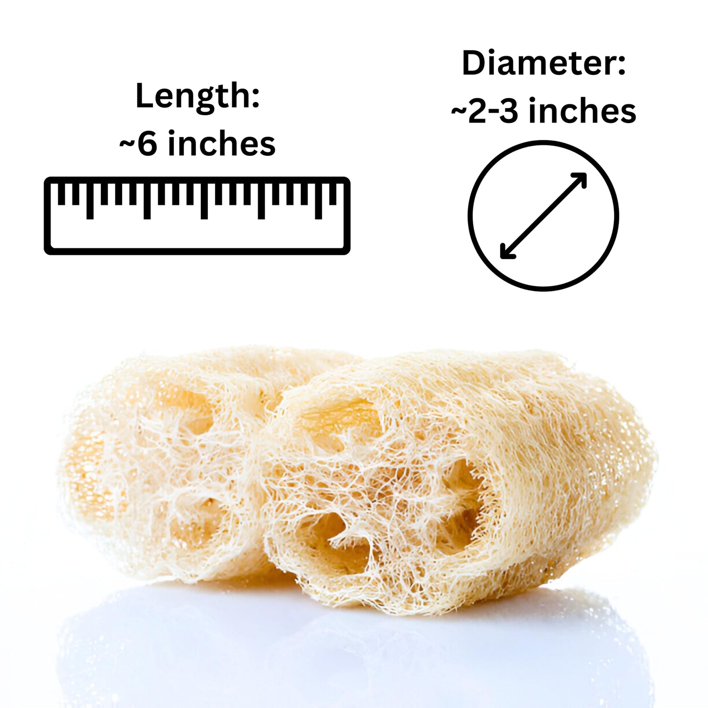 Birdee 100% Plant-Based Loofah Body Wash Sponge - Natural Luffa for Exfoliating and Radiant Skin, Hand-crafted in Vietnam, Pack of 4