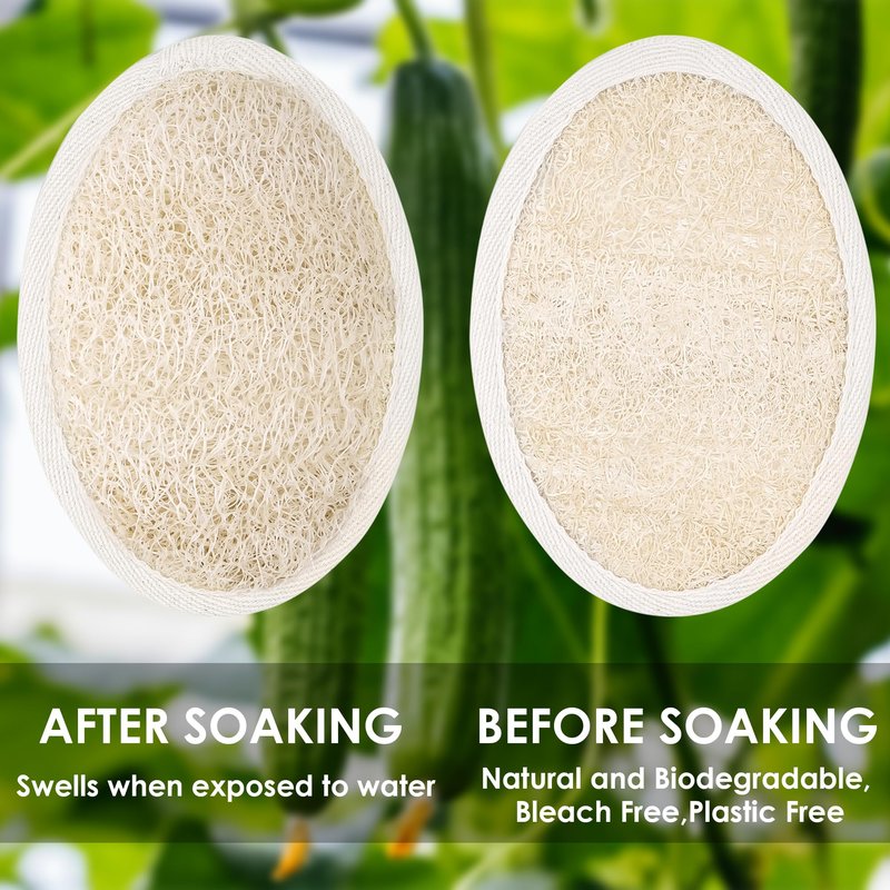 Natural Loofah Sponge 2 Pack for Shower, Organic Luffa Exfoliating Body Scrubber, Eco Friendly Biodegradable Bath Sponge, Plant Based Body Exfoliator for Men Women, Shower Loofah with Hanging Rope