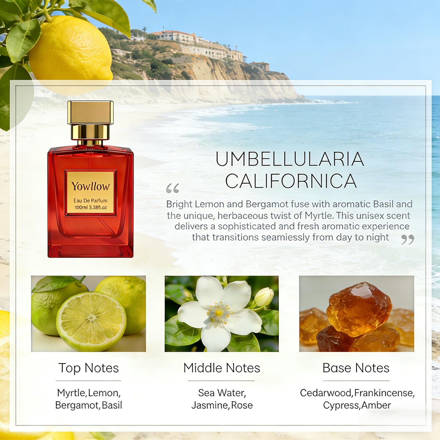 Yowllow Myrtle California Eau de Parfum 3.4 Fl Oz/100ML Inspired by Par.ma Blu Med.iterr.aneo Mir.to- Fresh Citrus & Aromatic Woody Notes Womens Long Lasting Fragrance Spray,Vegan & Cruelty-Free ﻿