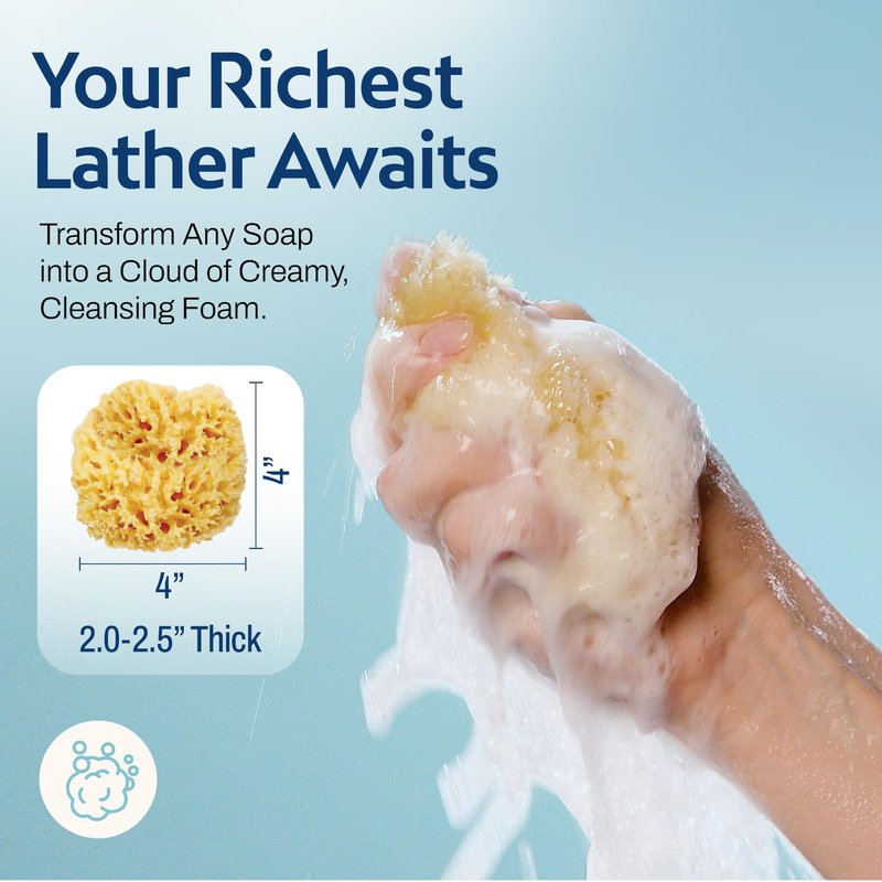 HartFelt Wool Sea Sponge Beauty Box for Delicate Skin | 2 Bath Sponges for Shower Women & Men 4 in | Natural Sponge with Mesh Bag for Cleaning & Drying | Chemical-Free Body Sponge Set - Gift Box