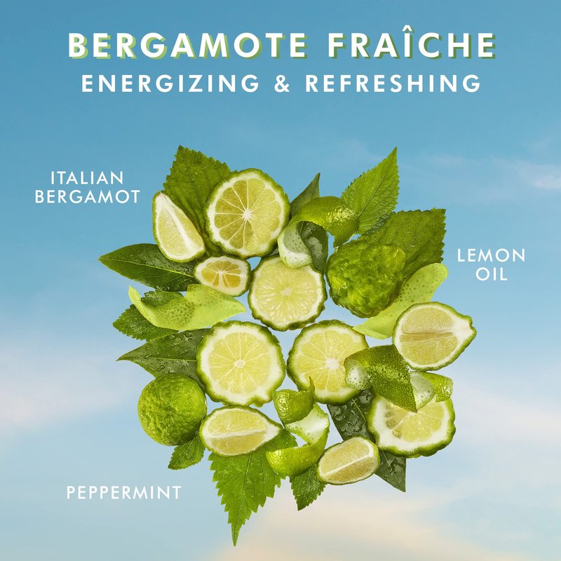 Moroccanoil Shower Gel, Bergamote Fraiche, 8.5 Fl. Oz.