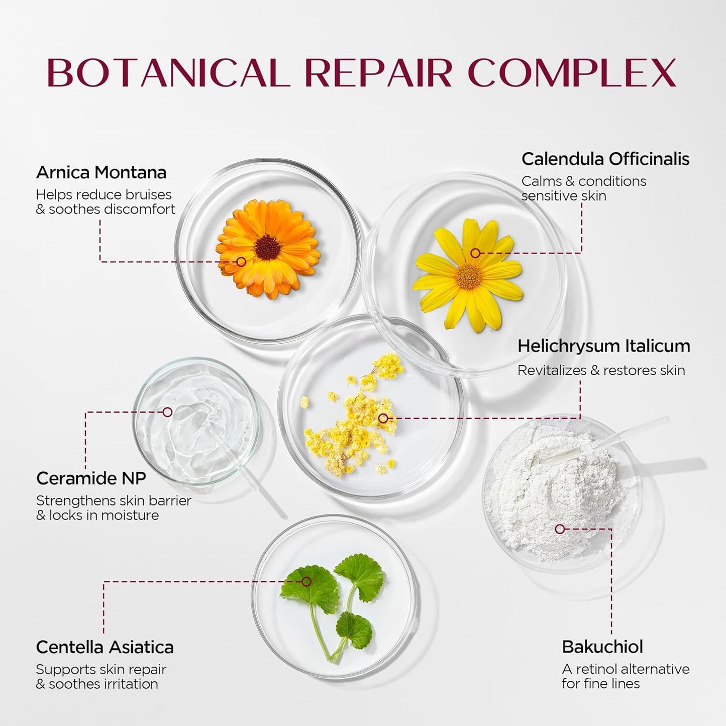 Vigority Helichrysum Balm Soothes & Repairs: Restorative Arnica Cream with Calendula for Bruised, Fragile & Thin Skin – Moisturizes, Revitalizes & Strengthens Skin Barrier for Adult Seniors - 3.4 oz