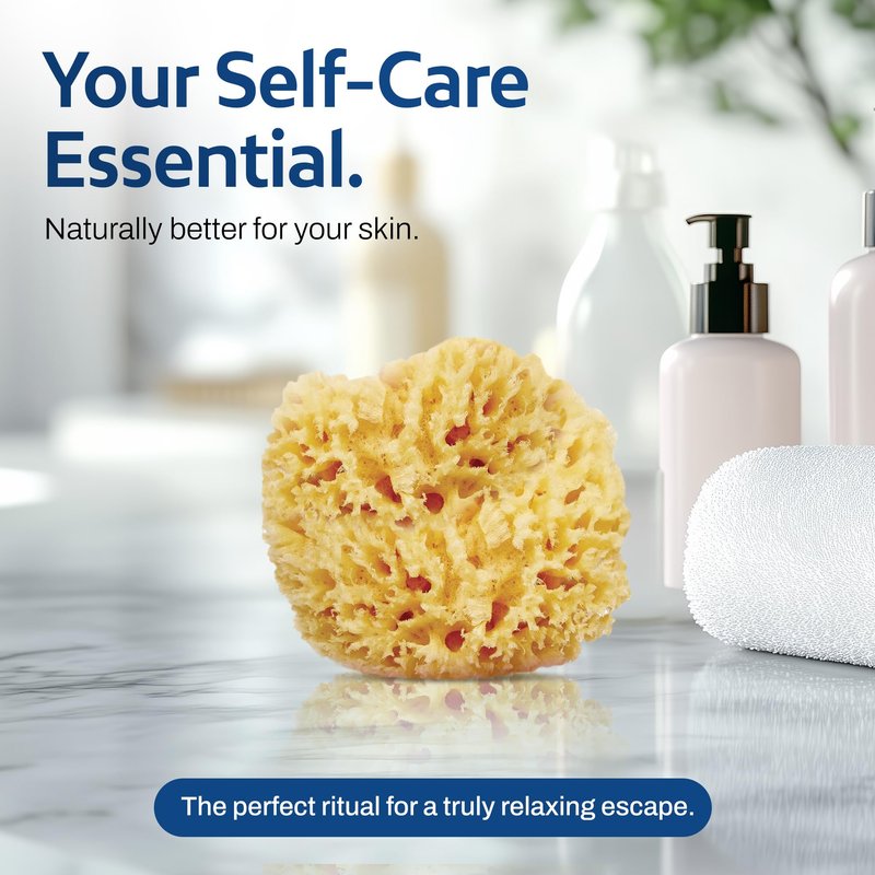 HartFelt Wool Sea Sponge Beauty Box for Delicate Skin | 2 Bath Sponges for Shower Women & Men 4 in | Natural Sponge with Mesh Bag for Cleaning & Drying | Chemical-Free Body Sponge Set - Gift Box