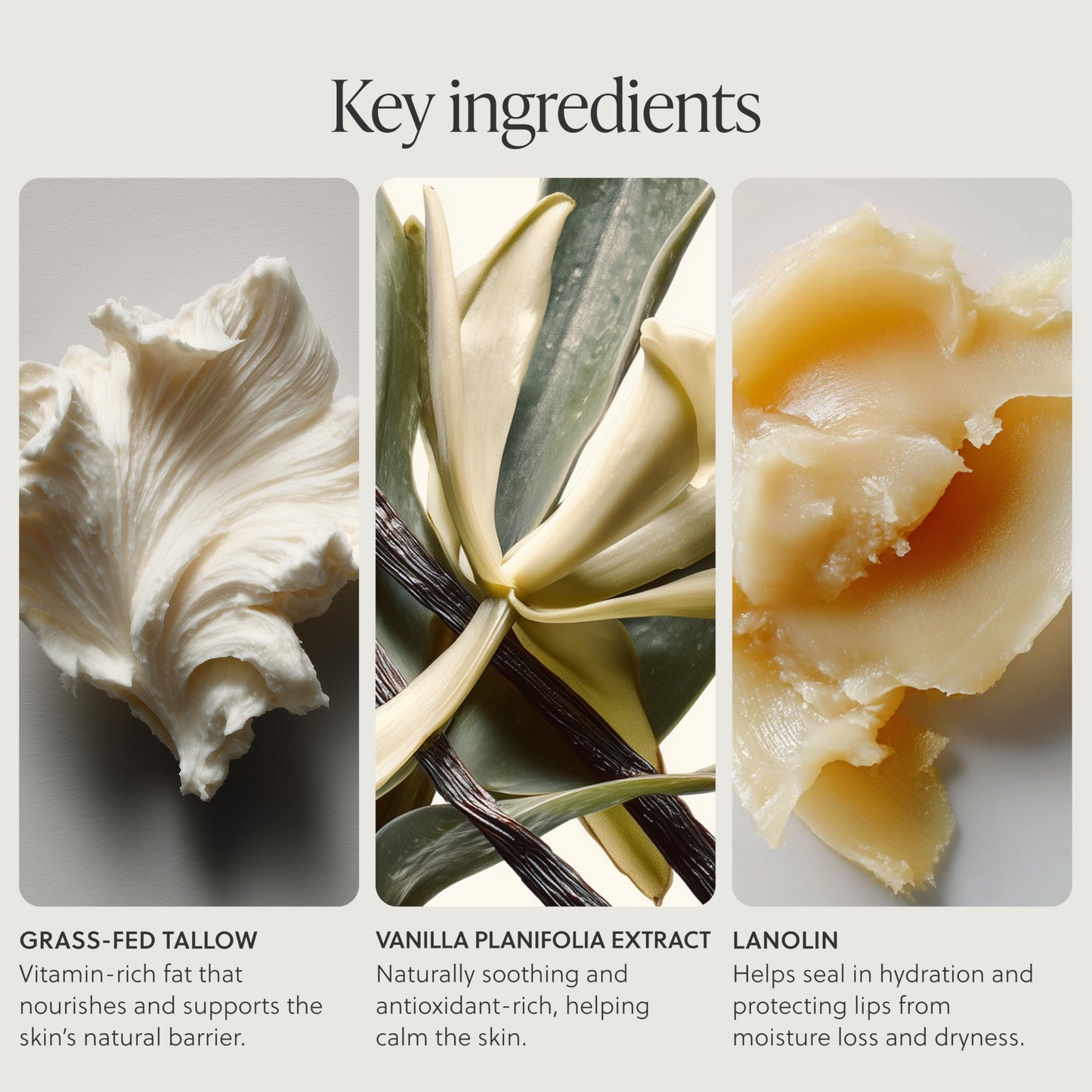 TALOVA - Grass-Fed Tallow Lip Balm, Lip Sleeping Mask, Overnight Moisturizer, Natural & Clean Moisturizing Lip Balm Vitamins A, D, E, & K, Nourishes and Smooths Dry & Chapped Lip (Coco Vanilla)