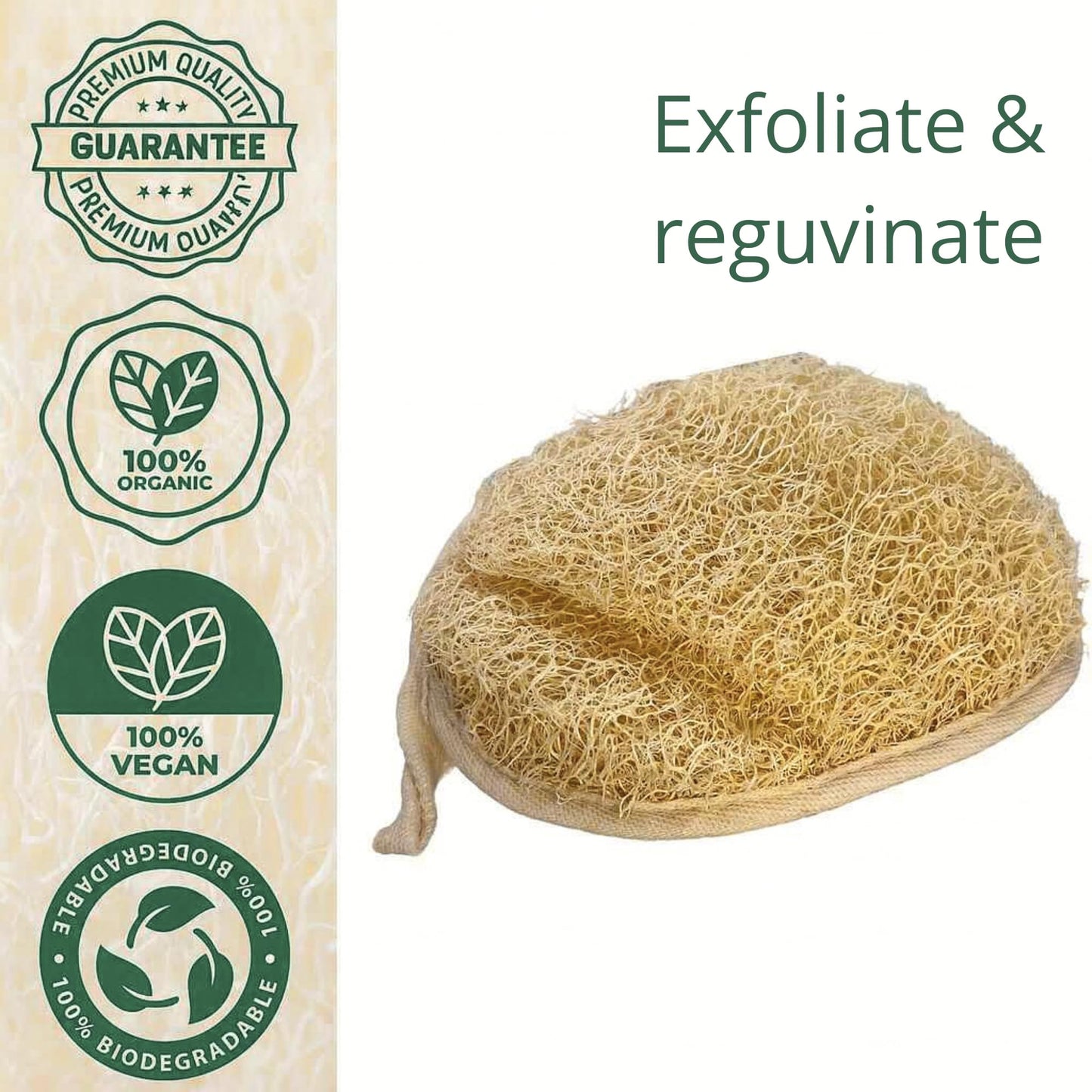 Natural Loofah Sponge – Premium Egyptian Shower Exfoliating Loofah, Lufas for Men and Women, 2‑Count
