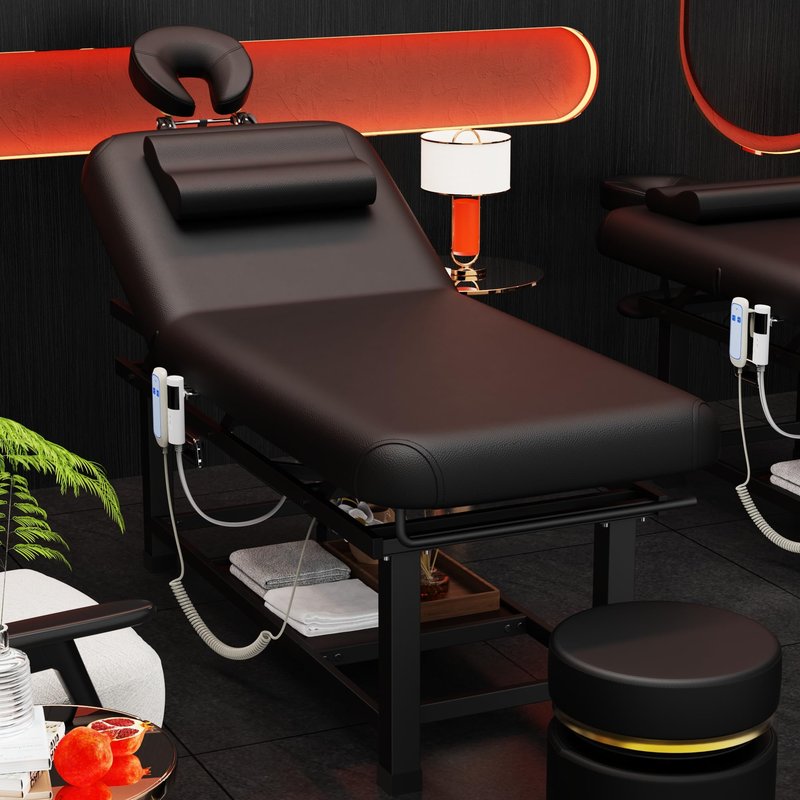 Olela Electric Massage Table with Heated Function- Heated Massage Table with Electric Lift & Manual Adjustable Backrest, Treatment Table with Storage and Metal Frame for Massage, Spa So On