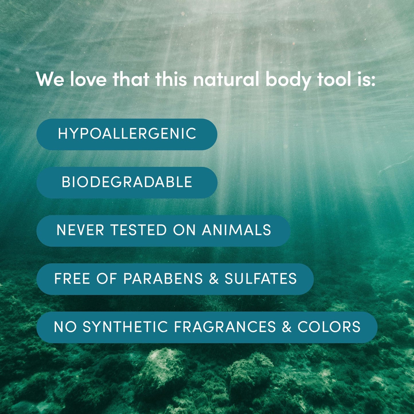 LATHER - Natural Sea Wool Sponge, 4-5" - Organic Exfoliating Body Scrubber - Soft, Gentle Cleansing - Hypoallergenic - All Skin Types - Florida Natural Loofah Sponge - Cruelty Free - Beauty & Skincare