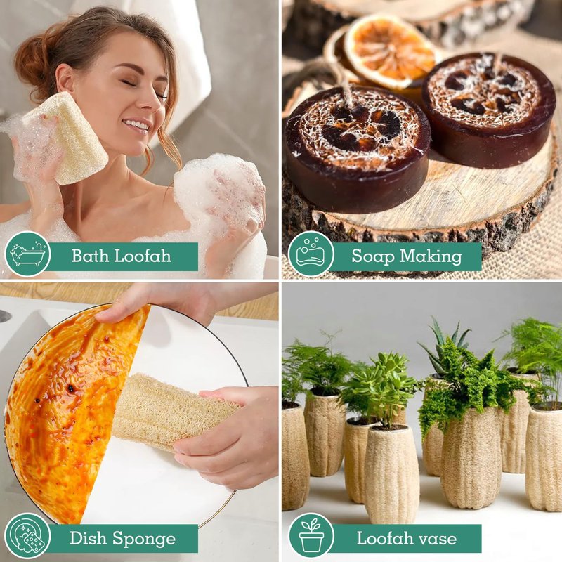 Natural Organic Loofah Sponges Large Exfoliating Shower Bath Loofah Luffa Loofa Body Scrubbers Sponges for SPA Beauty Bath and Radiant Skin, Pack of 4
