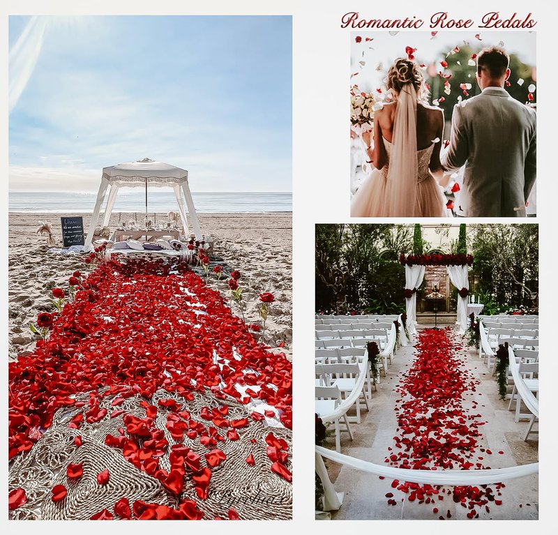 Pyrrhiax 1000Pieces Rose Petals, Artificial Flower Petals Fake Rose Petals Silk Red Rose Petals for Romantic Night,Wedding,Proposal Anniversary Flower Decorations (Light Pink)