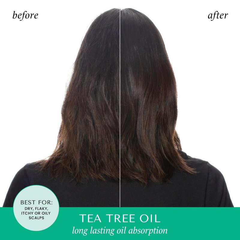 HASK Tea Tree Invigorating Dry Shampoo for Oily, Itchy Scalps – Absorbs Oil, Rebalances Scalp, Hypoallergenic, No Sulfates or Parabens, Cruelty-Free – 8.1oz