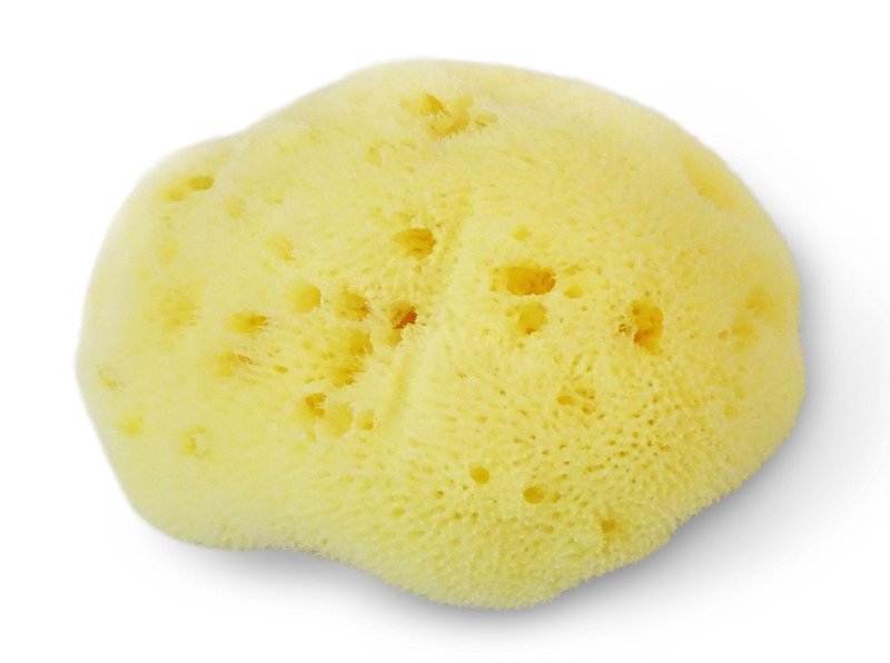 Fina Silk Sponge for Babies - Real Premium Natural Sea Sponge, 4"-4.5" Soft & Fine Pored from The Mediterranean, Gentle on Skin for Newborn & Baby Bath Care by Contented Infant®
