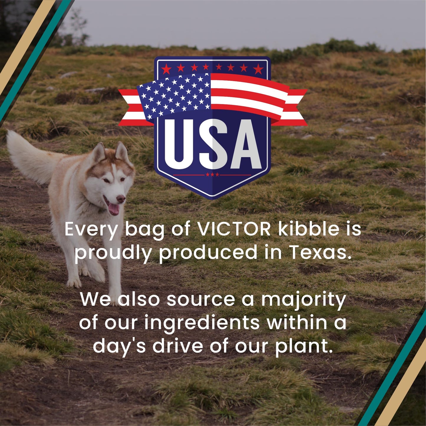 VICTOR Super Premium Dog Food – Hi-Pro Plus Dry Kibble – High Protein Dog Food with 30% Protein – Beef, Chicken, Pork, Fish Meals, Gluten Free - for High Energy and Active Dogs & Puppies, 30lbs